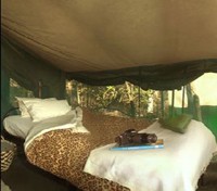 tent